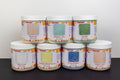 BIG STARTER SET- 7 x 16 oz. Entire Whitecap Line - Cone 6 Brushing Glaze Set